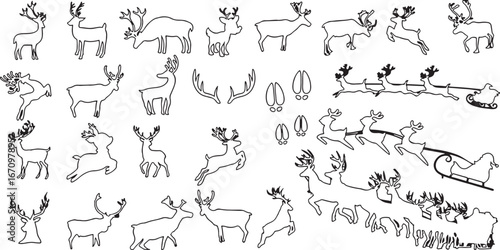 reindeer, deer, caribou, animal, wildlife, christmas, holiday, santa claus, sleigh, sled, pulling, harness, antlers, hooves, running, jumping, standing, head, paw print, hoof print, silhouette, outlin