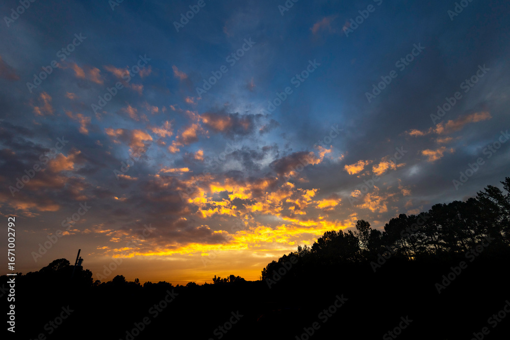 Fototapeta premium sunset over the forest