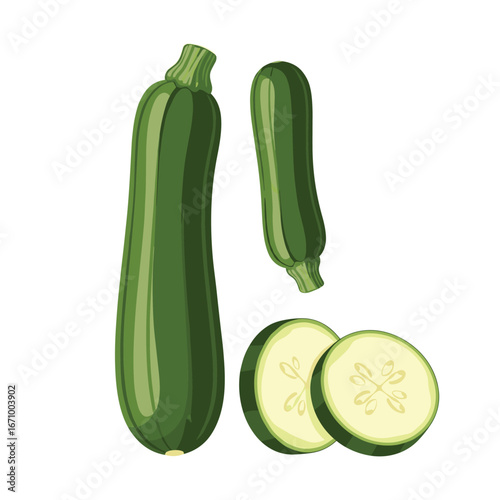 Fresh green zucchini vegetables with sliced rounds isolated on white background for healthy cooking and nutrition