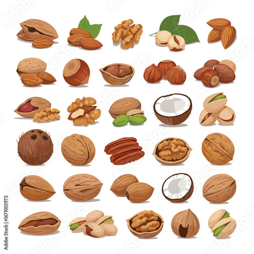 A delicious assortment of healthy nuts and coconuts displayed in a vibrant arrangement