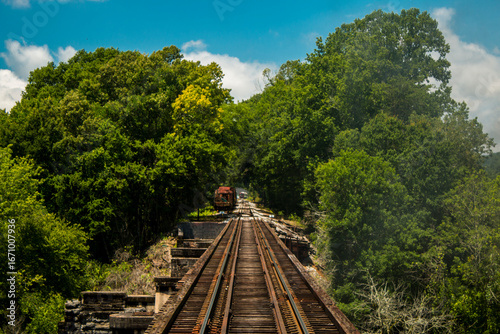 railway in the forest