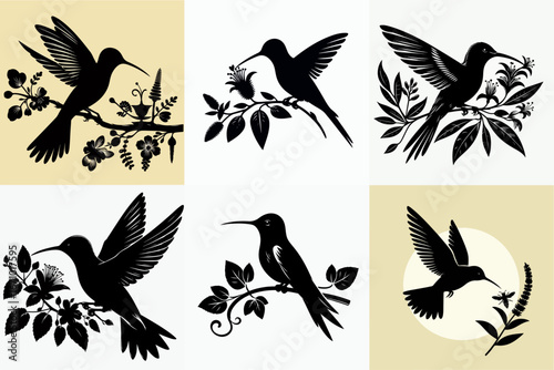 vector illustration set of birds sucking honey