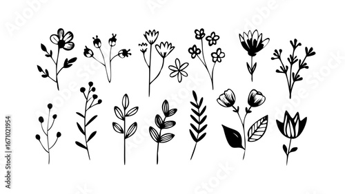 Simple hand drawn floral elements and leaves botanical nature