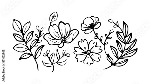 Whimsical floral and leaf doodle elements leaves cartoon