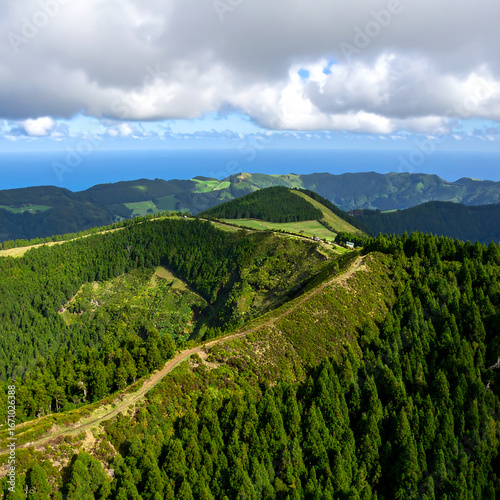 Elevated view of green hills and forest