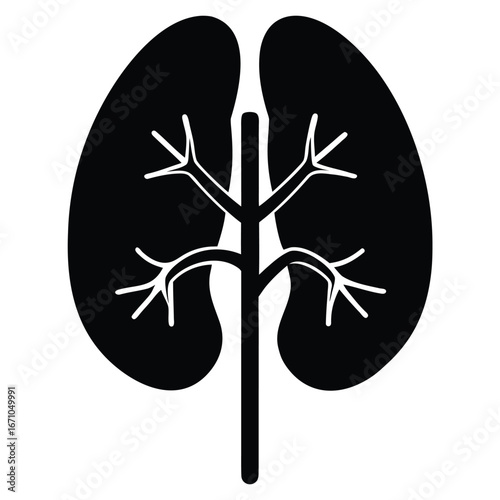 Black kidney organ illustration with white branches