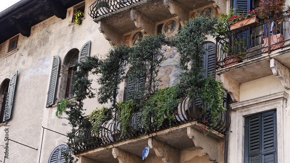 Obraz premium Italia 2025 88