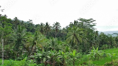 Wallpaper Mural Aerial landscape using drones, residential atmosphere in the village with drones Torontodigital.ca