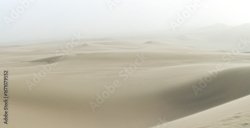 Beautiful natural landscape with sand dunes in the desert at sunset