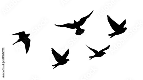 Birds in flight and perched flying silhouette