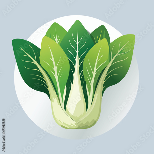 Bok Choy vector icon illustration with clean, modern detail and balanced composition.