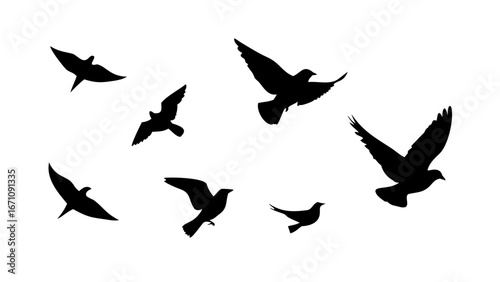 Flock of birds in flight and perched flying silhouette
