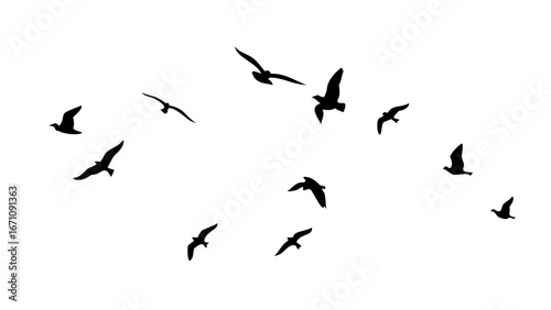 Flock of birds in flight flying migration
