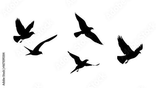 Flock of birds in flight and perched flying silhouette