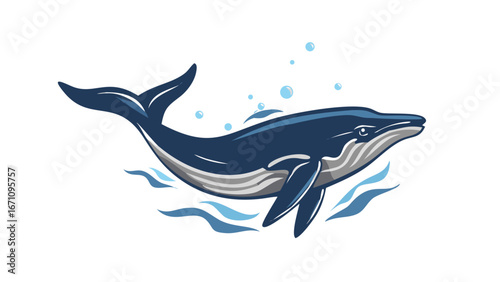 Majestic blue whale swimming with bubbles ocean marine life