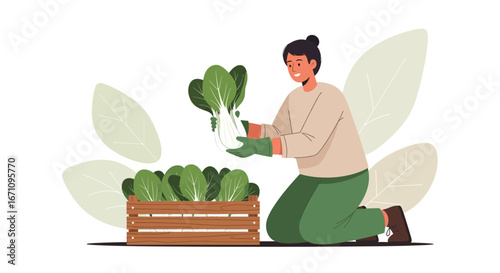 Gardener Harvesting Fresh Bok Choy From a Wooden Crate, Celebrating Harvest Success