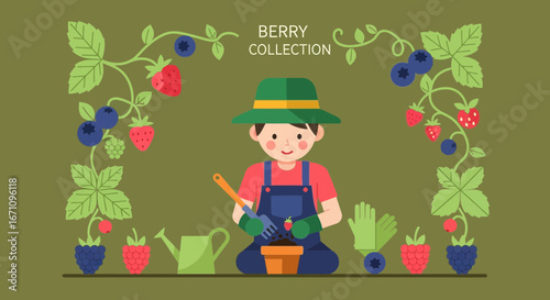 Gardening Illustration Depicting Berry Collection, Young Gardener Planting Fruits
