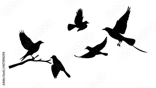 Minimalist Black Silhouette of a Dog animal