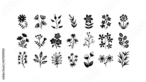 Stylized Flowers and Leaves Collection botanical nature