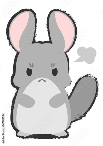 怒っているチンチラ_
angry Chinchilla