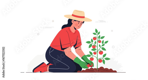 Woman Gardening and Tending To Tomato Plants in a Simplified Illustration