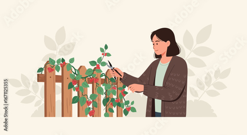 Woman Pruning Berries Growing On A Wooden Fence In Her Backyard Garden Scene