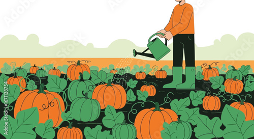 Person Watering Pumpkins in a Garden, Harvest Time, Agriculture, Autumnal Scene