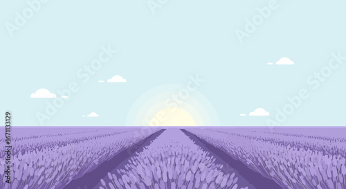 Serene Lavender Field Landscape Under The Soft Glow Of The Sunrise, Beautiful Scene