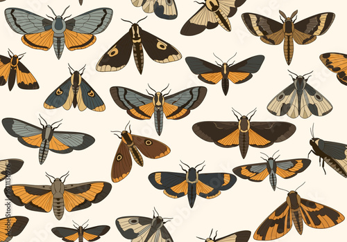 Elegant moth pattern design with vibrant colors perfect for textile, wallpaper, and print projects