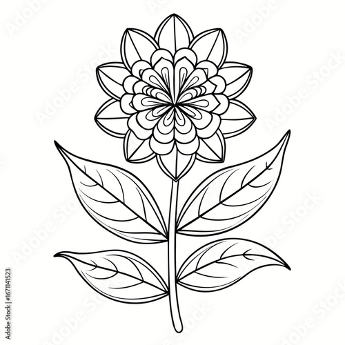  vector illustration of line art wax plant fish tail hoya flower  on white background