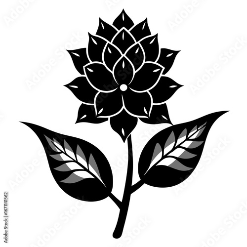 vector illustration wax plant fish tail hoya flower silhouette on white background