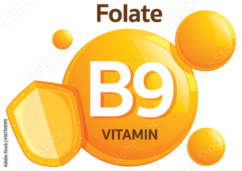 Vitamin B9 Folate Icon with Protective Shield