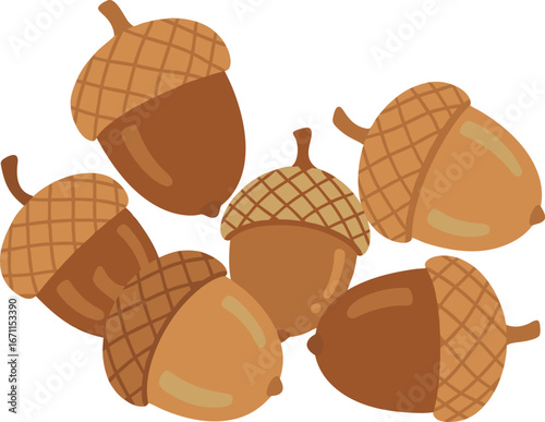 Acorn Nuts Vector Illustration with Autumn Theme