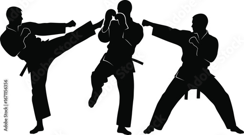 A group of people practicing karate, demonstrating kicking and punching techniques