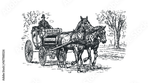 Man driving horse-drawn carriage through parkland. Vector hand drawn illustration