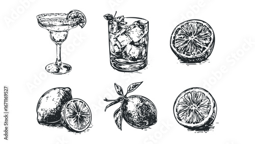 Hand Drawn Collection of Cocktails and Citrus Fruit Slices on White. Vector hand drawn illustration