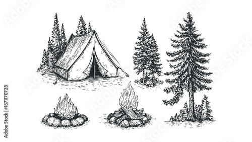 Tent and Campfires in Forest Setting. Vector hand drawn illustration