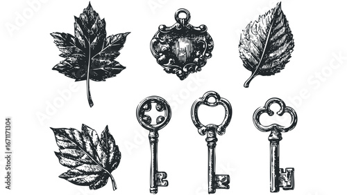 Antique keys and ornate leaves collection isolated on white background. Vector hand drawn illustration