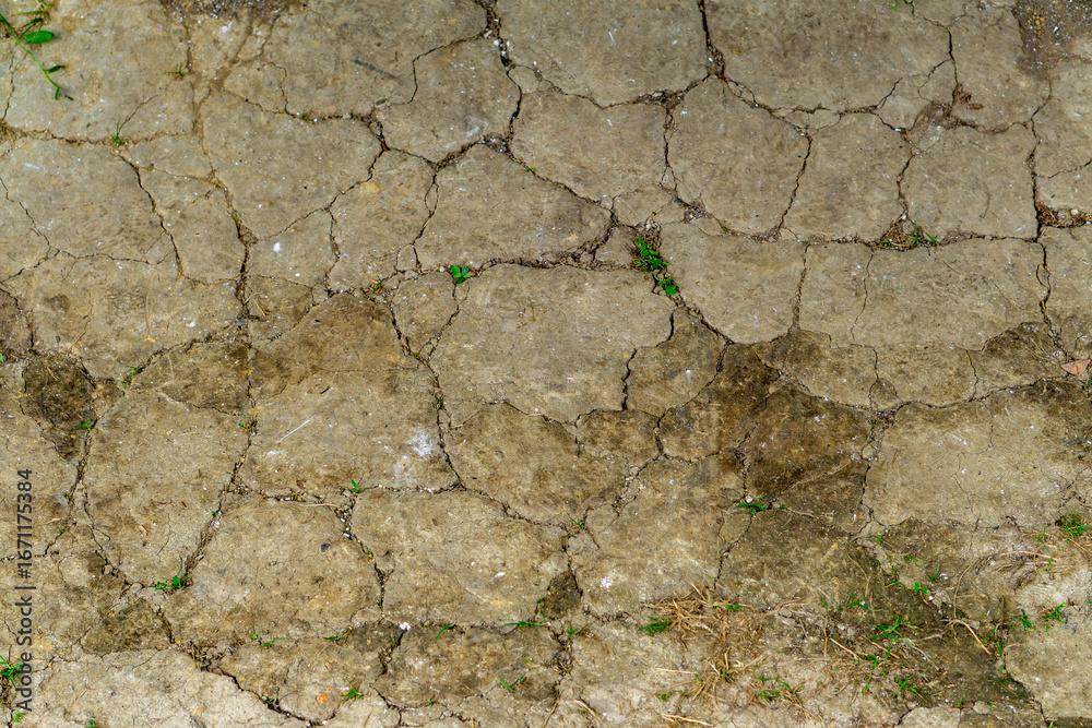 Obraz premium Cracked dry soil with visible fissures and small patches of green grass, effect of drought on the ground.