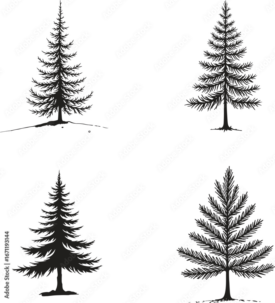 Obraz premium pine tree silhouette illustration – evergreen and forest nature vector