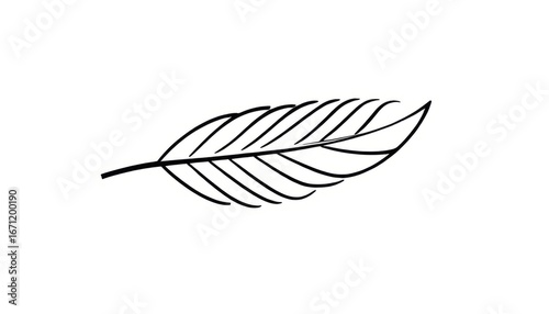 Single Feather A stylized feather with a single curve and lines