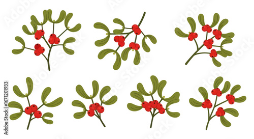 Botanical illustration showcasing various sprigs of mistletoe adorned with vivid red berries