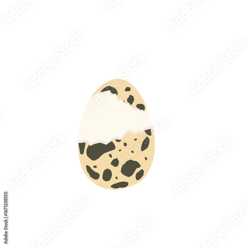 Quail egg illustration. Whole and cut quail eggs. Egg illustration. Boiled quail eggs. Quail egg shell design