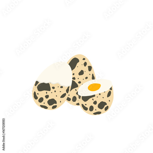 Quail egg illustration. Whole and cut quail eggs. Egg illustration. Boiled quail eggs. Quail egg shell design