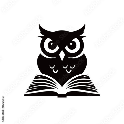An owl sits on an open book, showcasing its large eyes and unique feather patterns. This representation highlights the themes of knowledge and wisdom through the imagery.