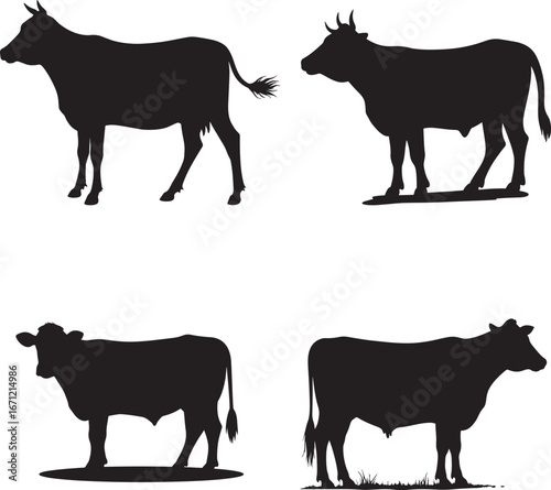Cow Silhouettes – Farm Animal Vector Illustration Isolate on White Background 