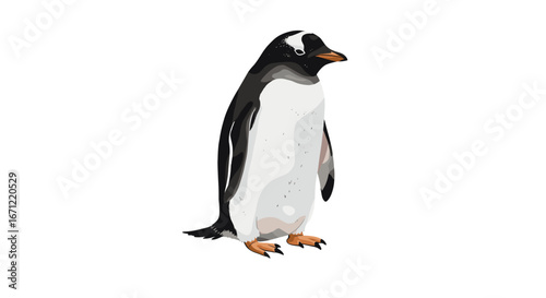 Charming Gentoo Penguin Standing Proudly Isolated on Transparent Background Wildlife Creature