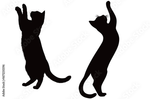 Two black silhouette cats are playfully standing on their hind legs, reaching upwards, with an emphasis on their fluid poses. The light background contrasts the dark figures.