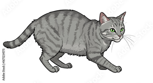 Alert grey tabby cat stalking with bright green eyes isolated on transparent background