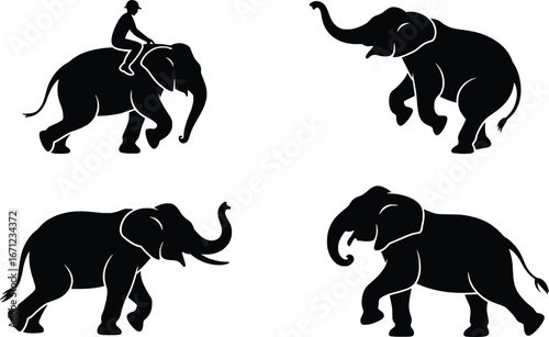 Majestic elephant silhouettes capturing power and grace in four dynamic poses